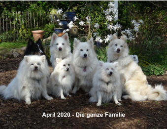 April 2020 - Die ganze Familie