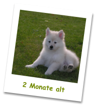 2 Monate alt