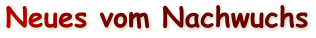 Neues vom Nachwuchs