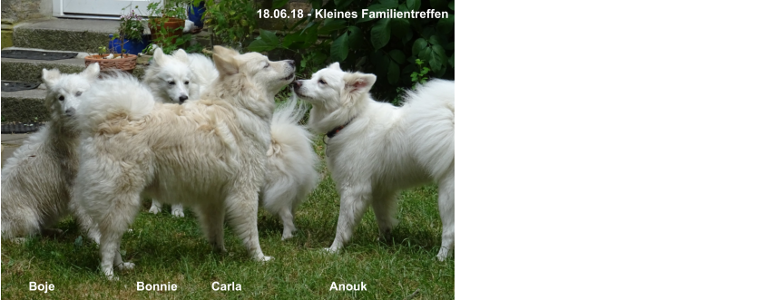 18.06.18 - Kleines Familientreffen Boje                        Bonnie          Carla                          Anouk