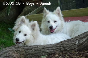 26.05.18 - Boje + Anouk