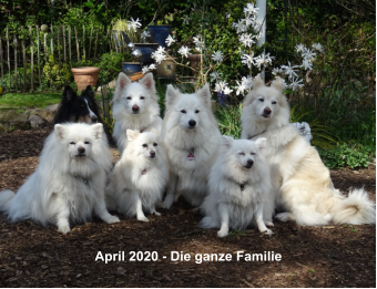 April 2020 - Die ganze Familie