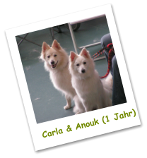 Carla & Anouk (1 Jahr)