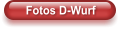 Fotos D-Wurf