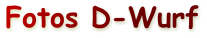 Fotos D-Wurf