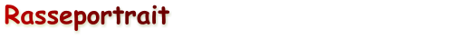 Rasseportrait