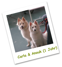 Carla & Anouk (1 Jahr)