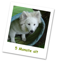 5 Monate alt