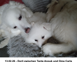 13.02.26 - Dorli zwischen Tante Anouk und Oma Carla