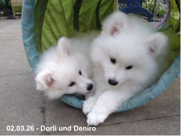 02.03.26 - Dorli und Deniro