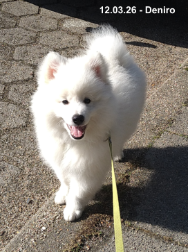 12.03.26 - Deniro