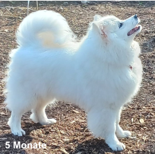 5 Monate